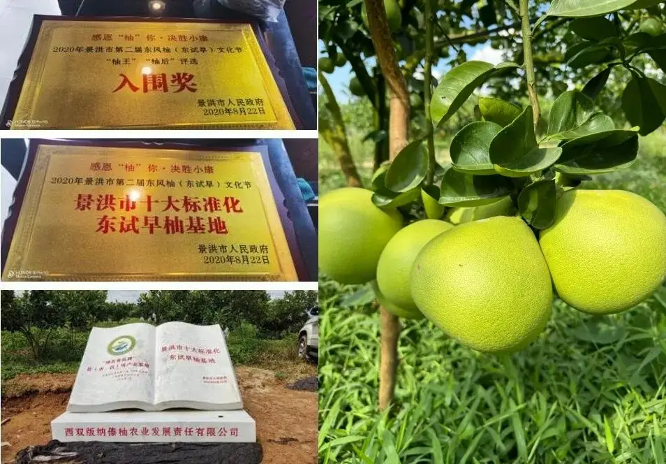 只有1%的人吃過！讓這些美食給你們一些清涼滋潤吧~【君之優選】