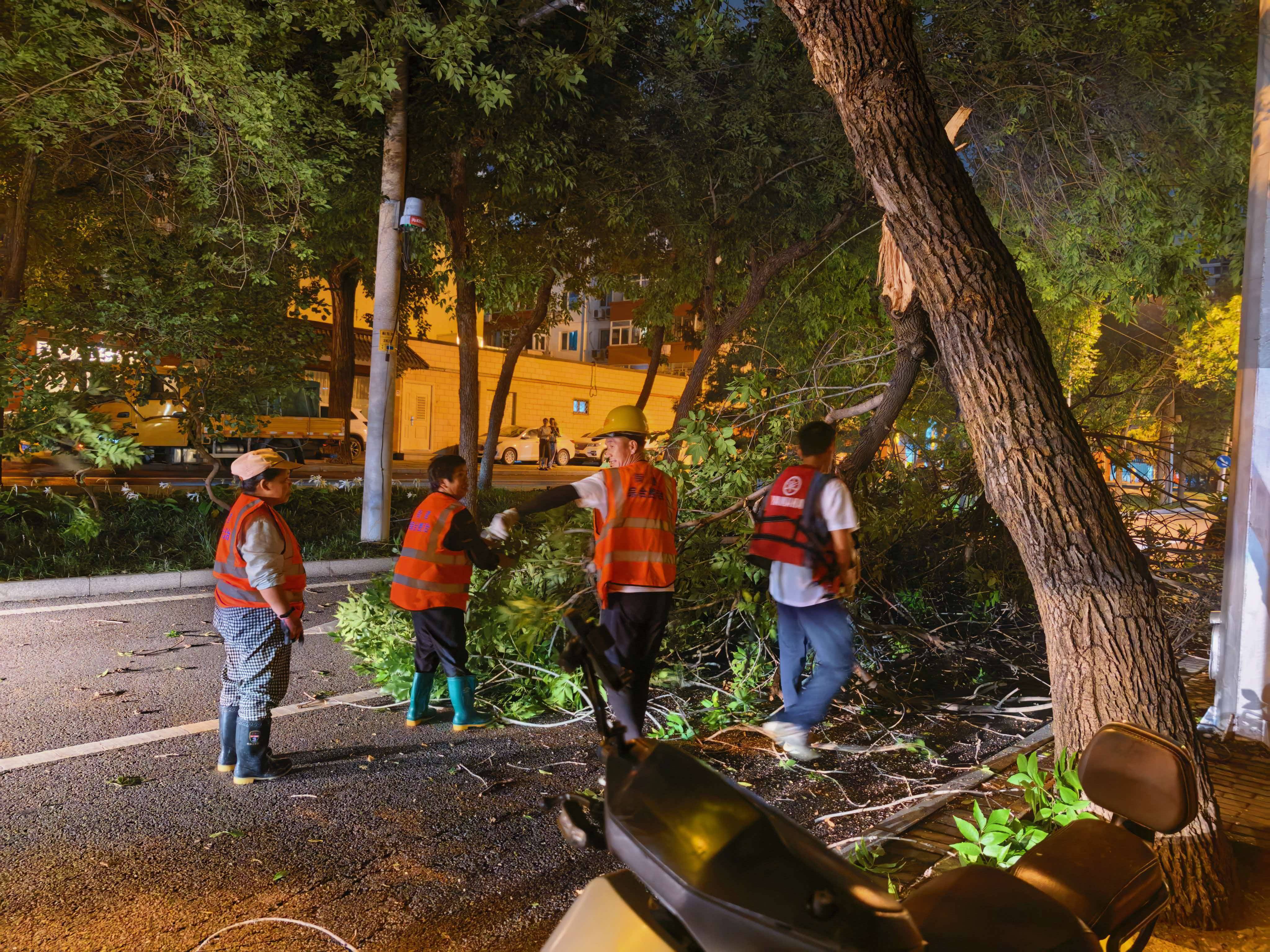 海淀花園路，大樹枝丫突然折斷，15分鐘快速處置恢復道路交通