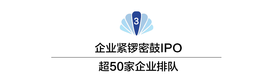 月月都有“大肉籤”，硬科技企業為何這麼“夯”