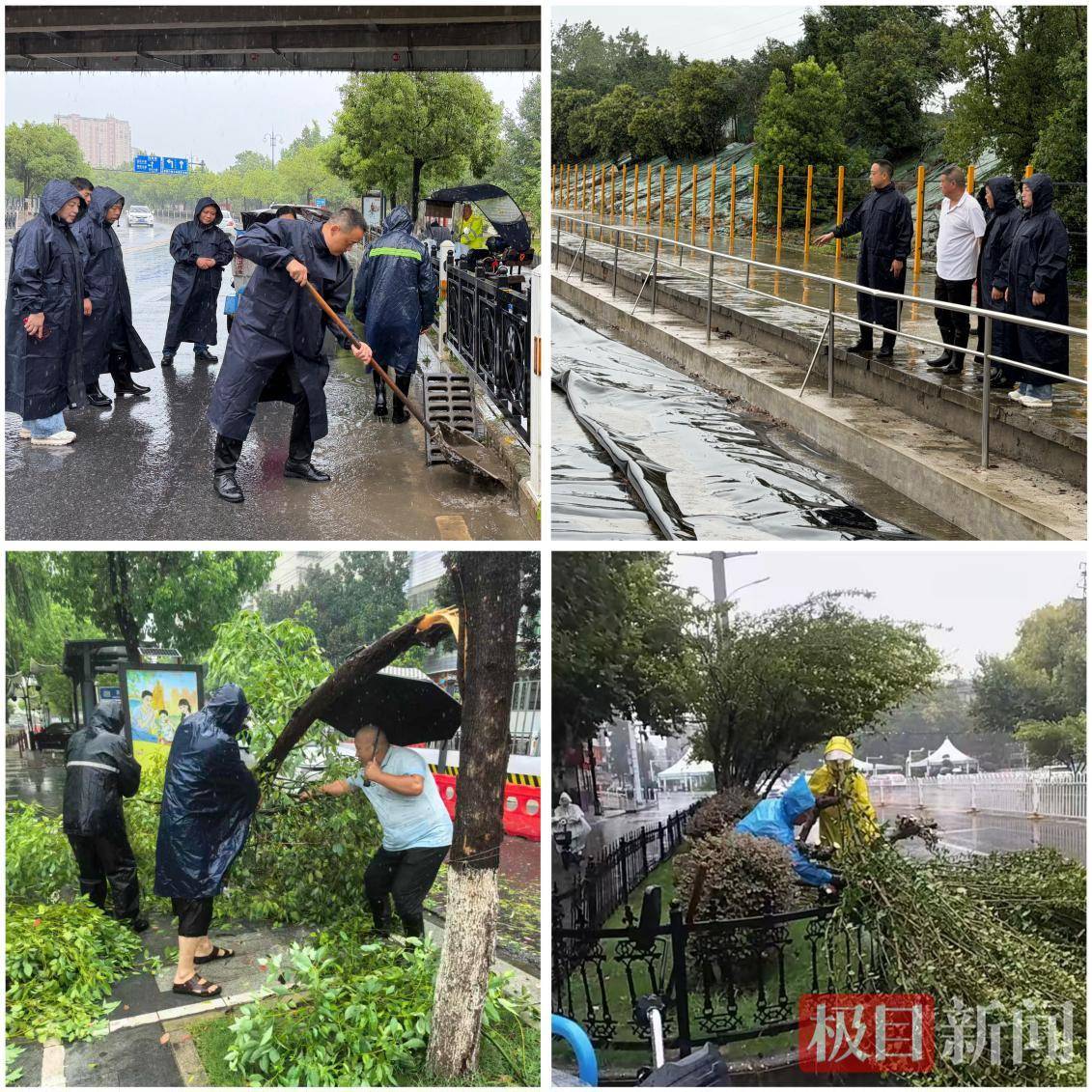 17棵行道樹被吹倒、36棵斷枝散落街頭，他們快速清障搶通道路