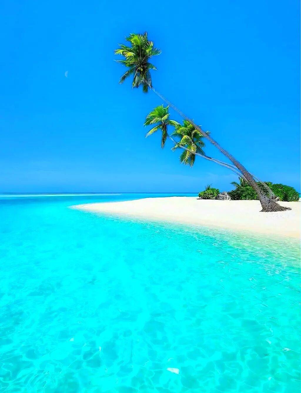 郭其俊：海南省2026基礎教育特等獎教學成果解析