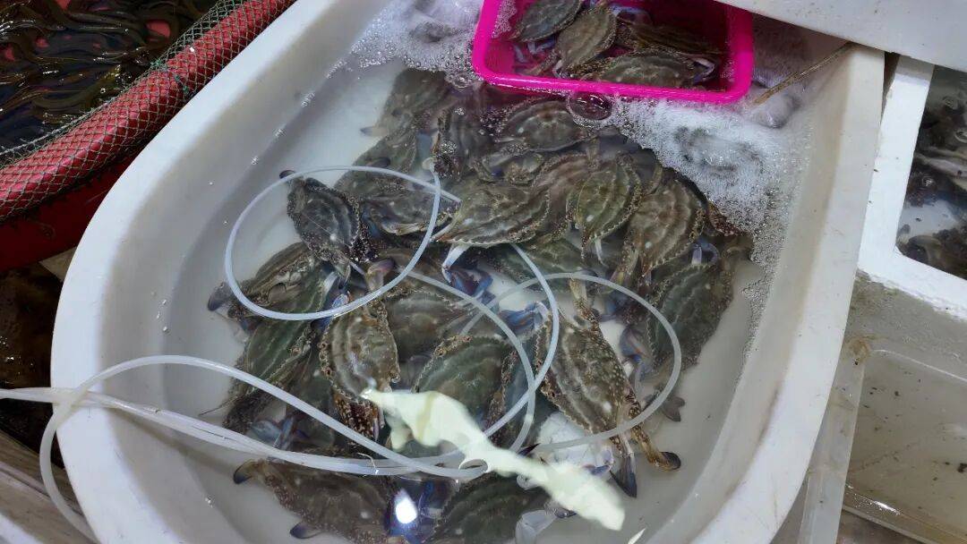 正大量上市！上海人喜歡的美食