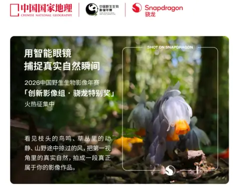 20+款AI眼鏡搭載，驍龍佔據市場主導