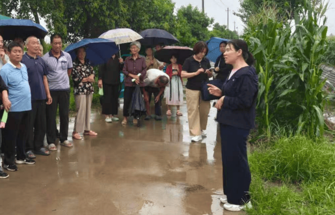 方城縣：雨後田管精準施策 科技護航秋糧豐收