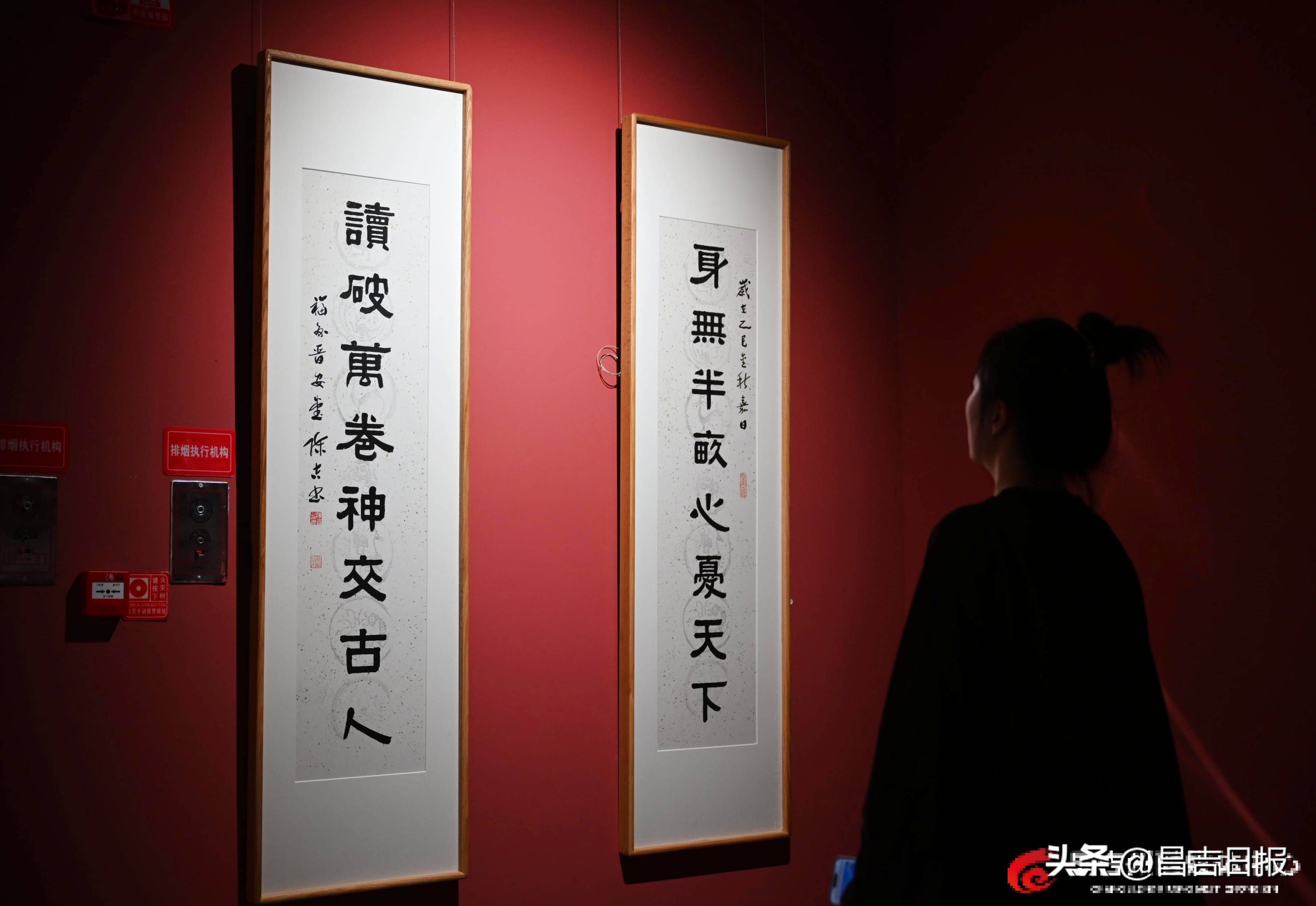 閩昌情深翰墨飄香 雙書法藝術展在昌吉州美術館開幕