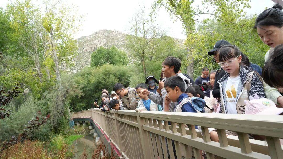 原創西藏拉薩市圖書館組織開展戶外生態閱讀活動