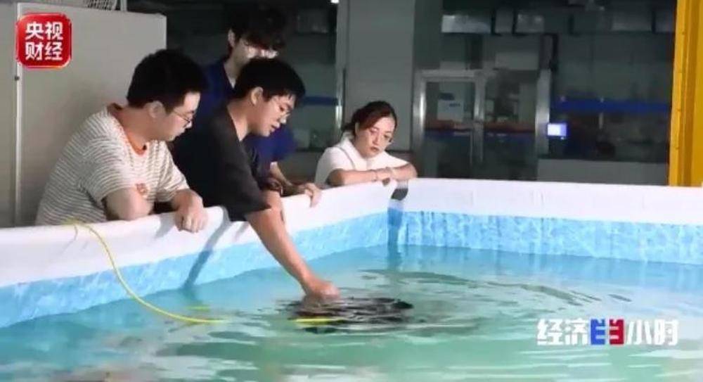 大學專業迎來一輪“上新”，就業前景如何？